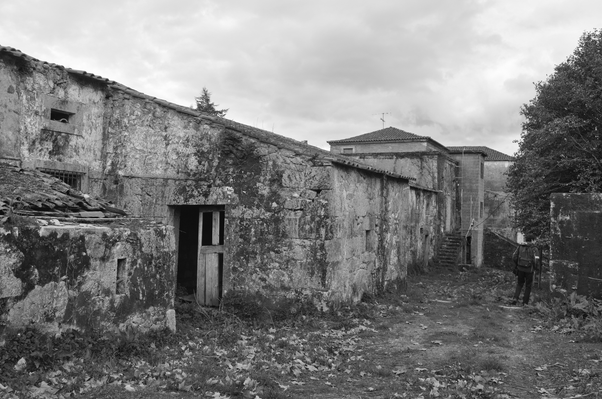 Paço de Vitorino(葡萄牙百年庄园酒店)-25