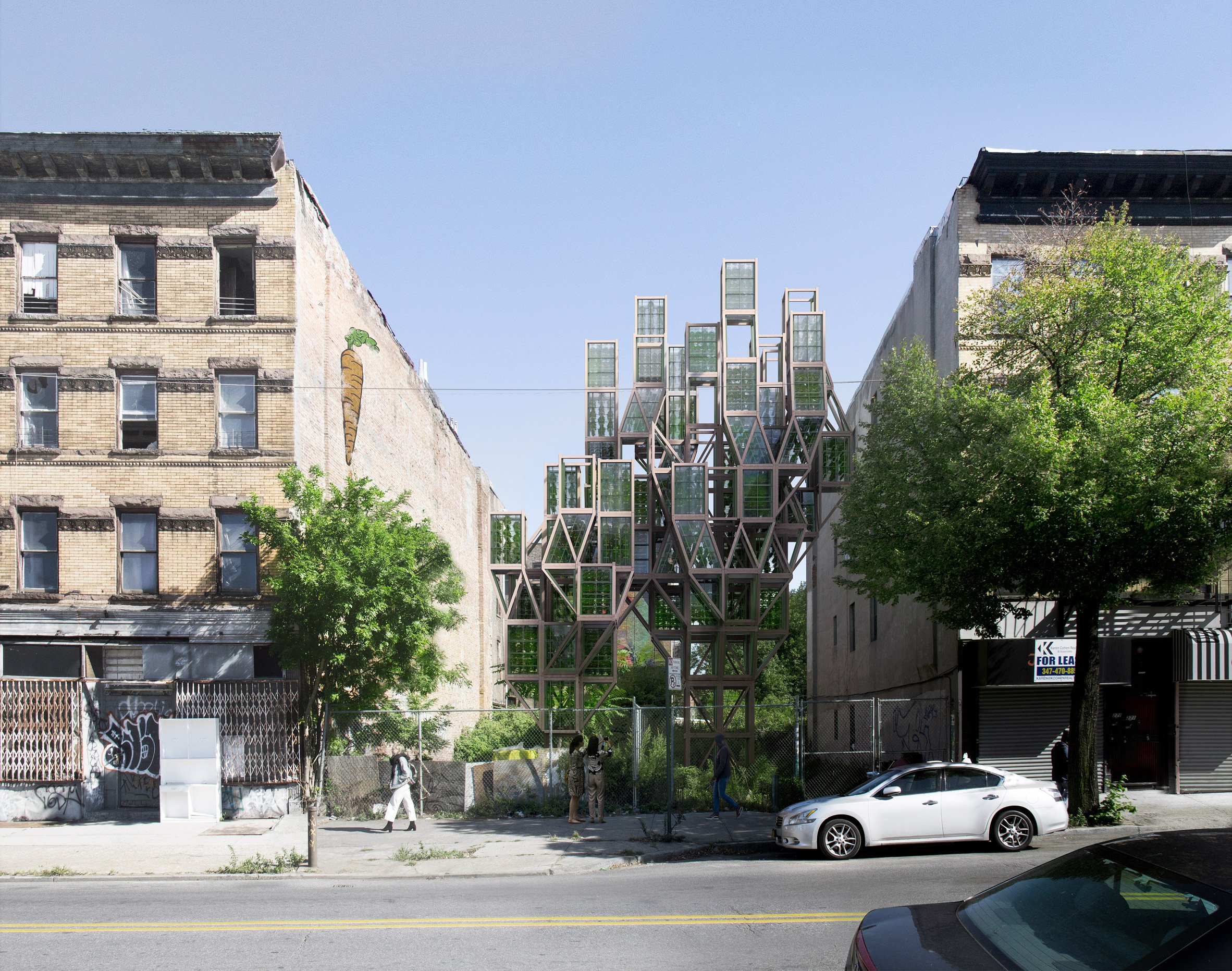 模块化垂直农场 Glasir 为纽约布鲁克林社区提供新鲜蔬菜-2