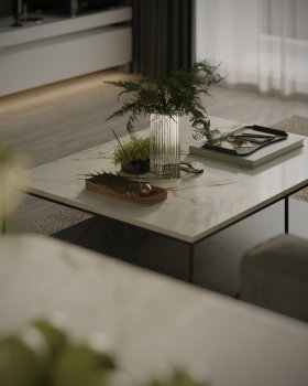 ___DETAIL LIVING ROOM___
