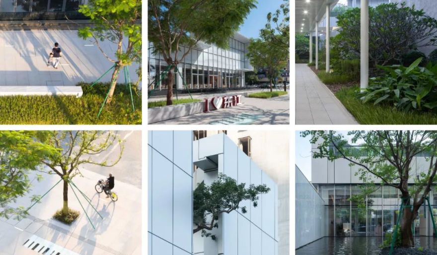 中信凯旋湾丨中国东莞丨GND 杰地景观-55