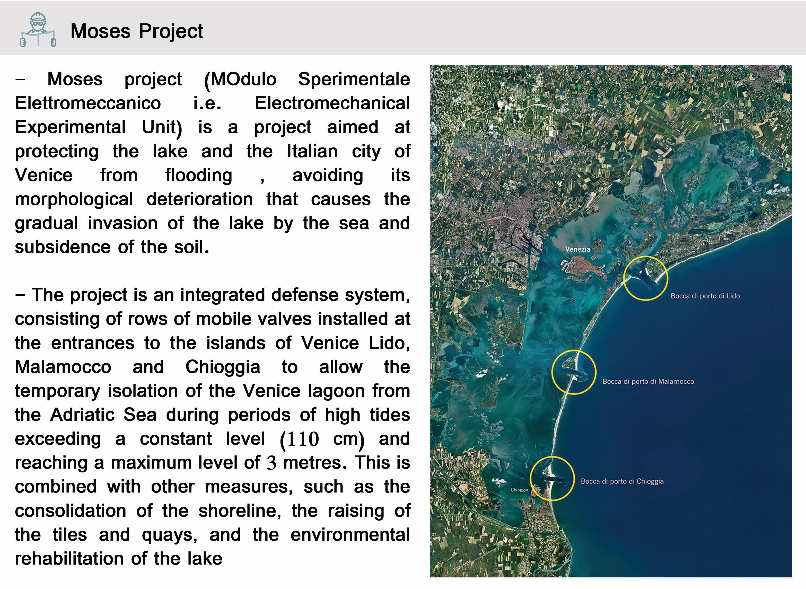 "MAD GENIUS" THE SECRET OF VENICE SURVIVAL-6