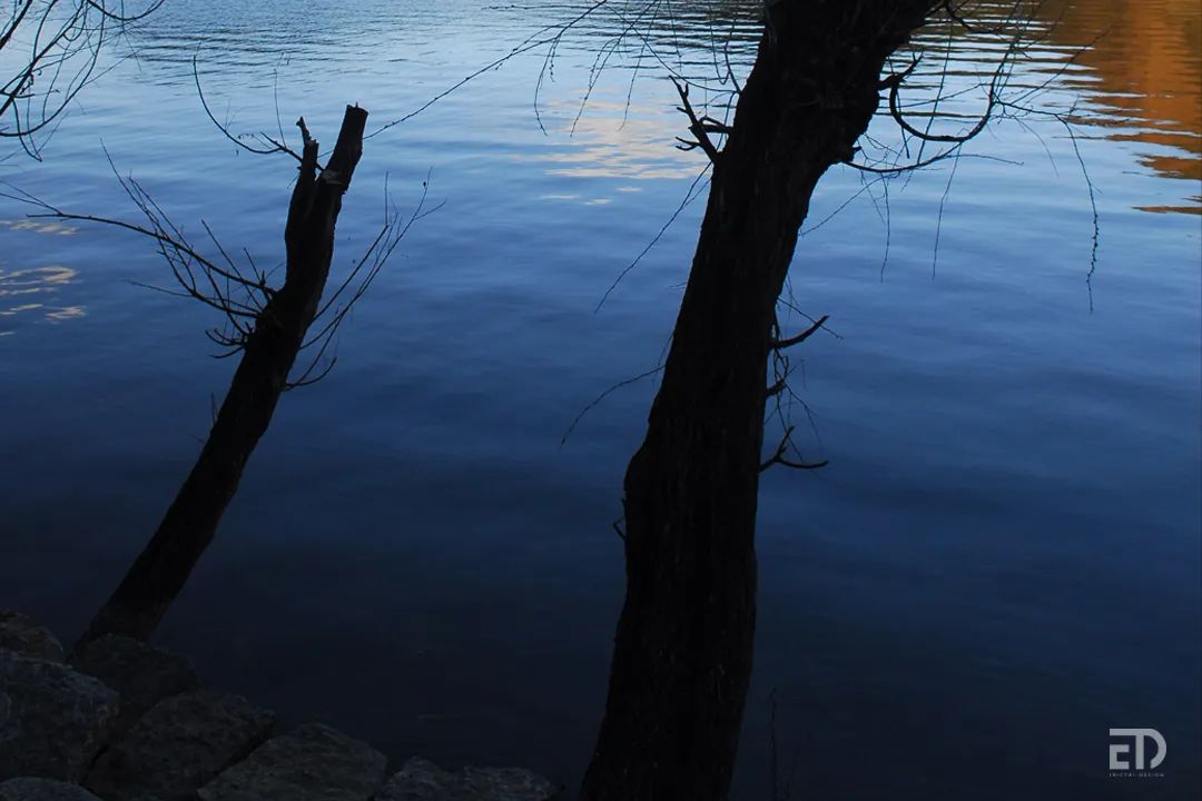 情绪风景丨戴勇-8