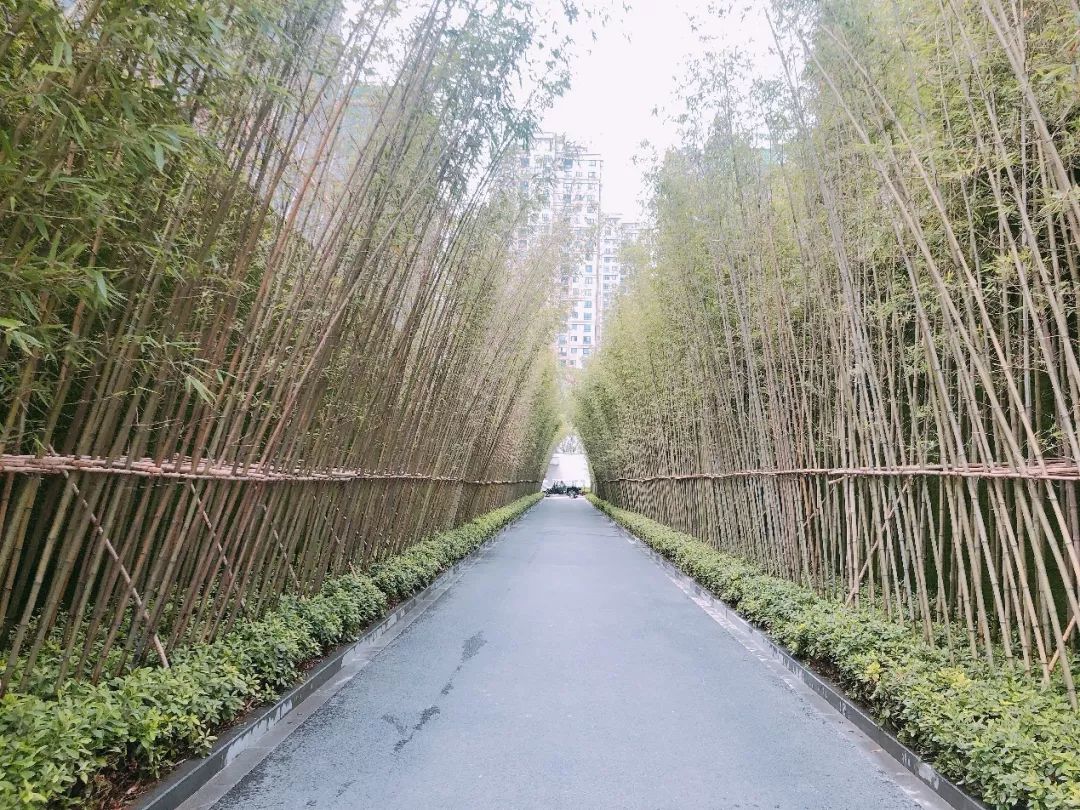 柏岩·视界|万科—桂雨东方-9