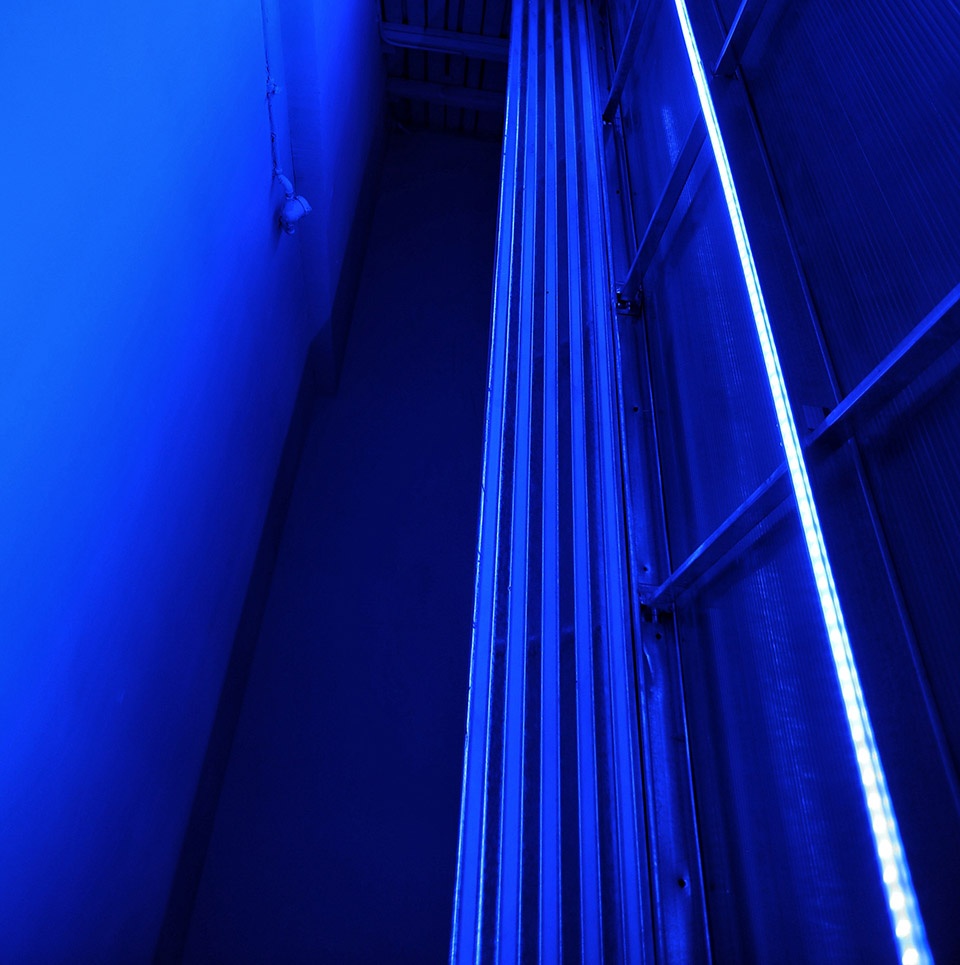 理智与情感的 NSNL 空间-27