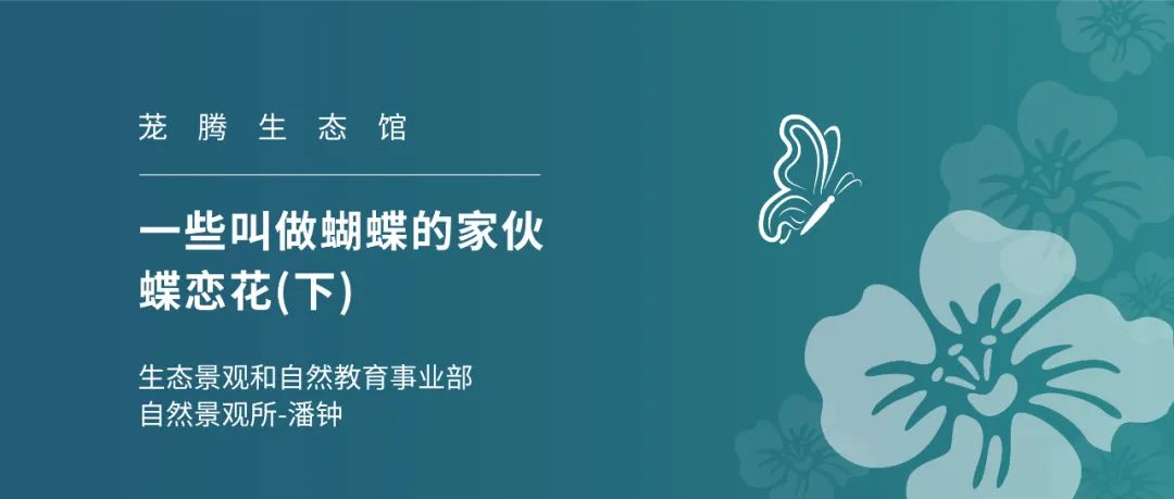 与自然和谐共生的茏腾生态馆-41