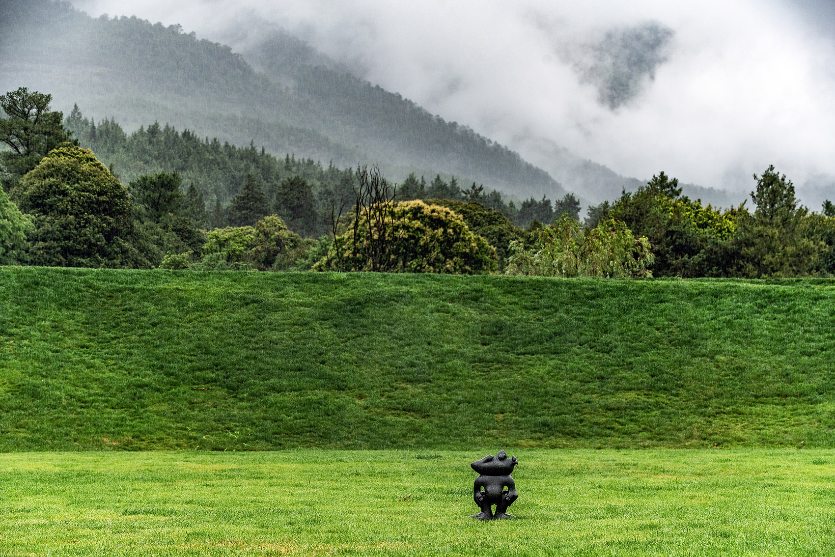荒野花园和草甸剧场丨中国白沙丨Z’scape致舍景观-110
