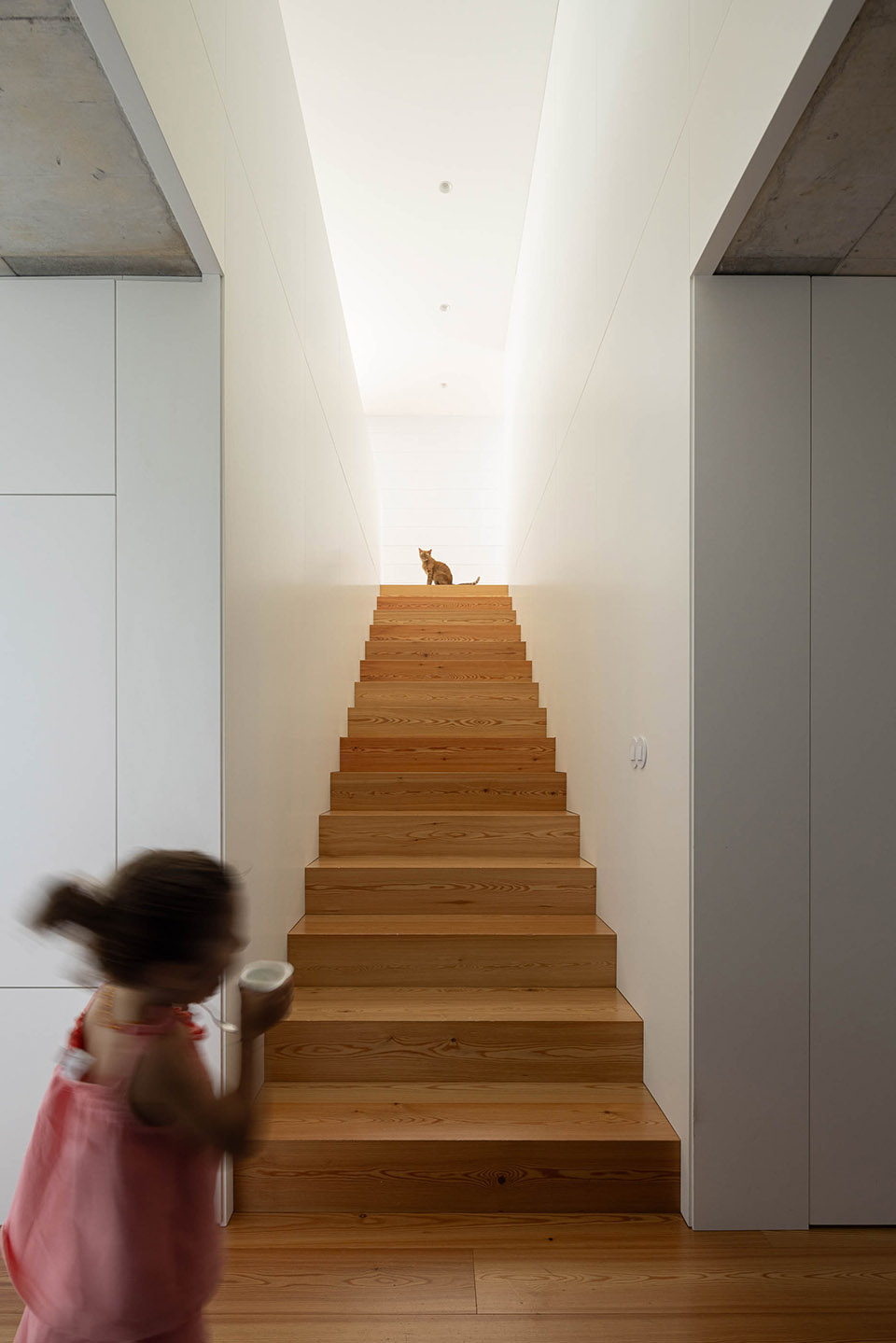 Sobreiro 住宅丨葡萄牙丨Skemba Studio-70