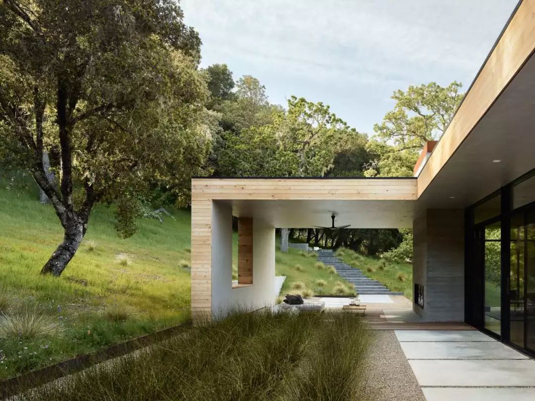 融合自然的当代美学 | 丹尼尔·皮乔塔设计案例解读-25