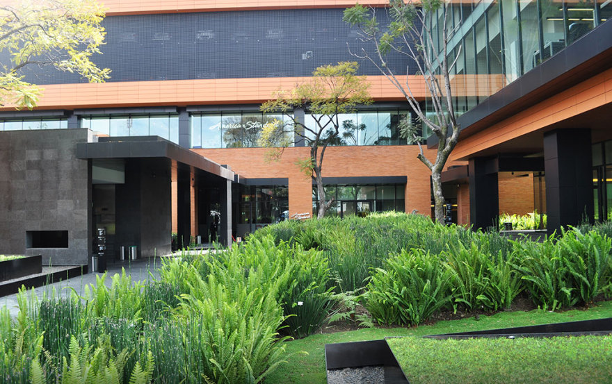 墨西哥城 Coyoacán 企业园区景观设计-18