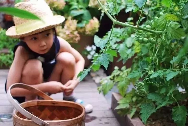 她在楼顶悄悄建了一座梦想花园,美翻了!这才是把日子过成诗的样子-91