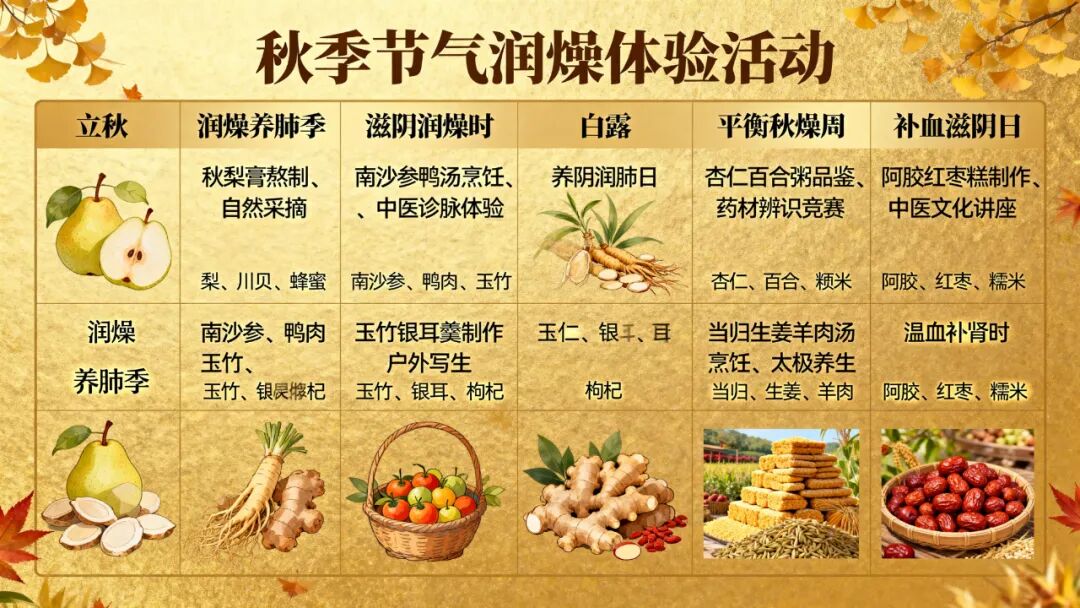 华北药食同源研学文旅基地:种药成景,研学为魂——全链条沉浸式文旅创新方案-316