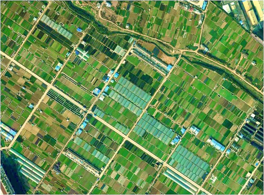 当海绵遇上艺术｜深圳光明文化艺术中心-18