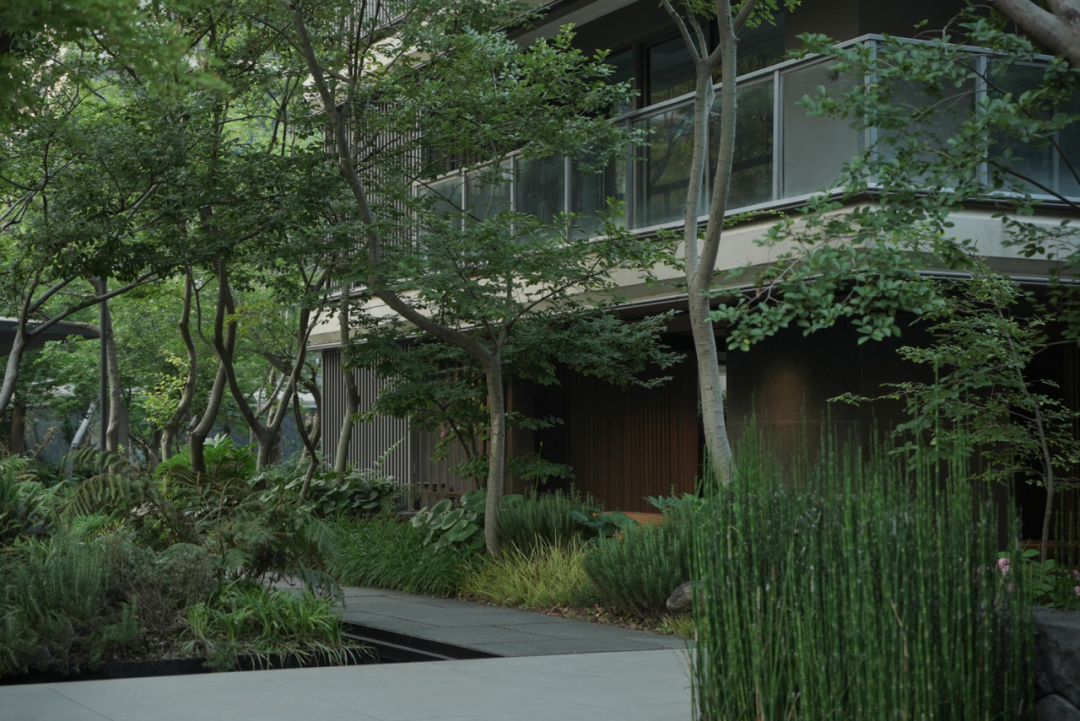 苏州和悦塘前雅院大区丨中国苏州丨MIND迈德景观-87