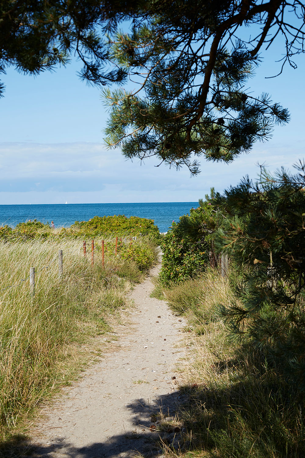 丹麦清新海滨度假小屋设计-15