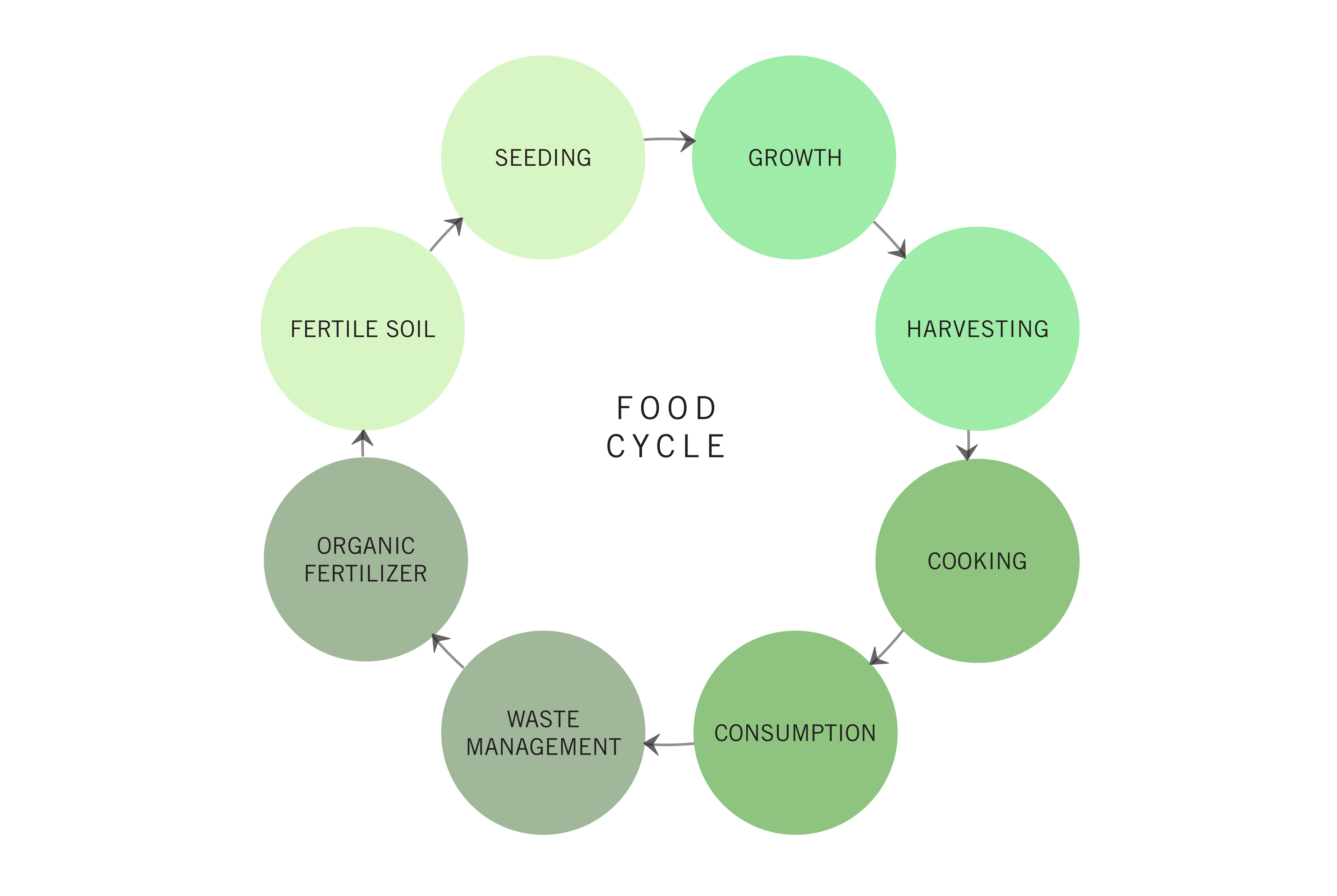 优质食品,美好生活丨新加坡丨WYTO 集团-17