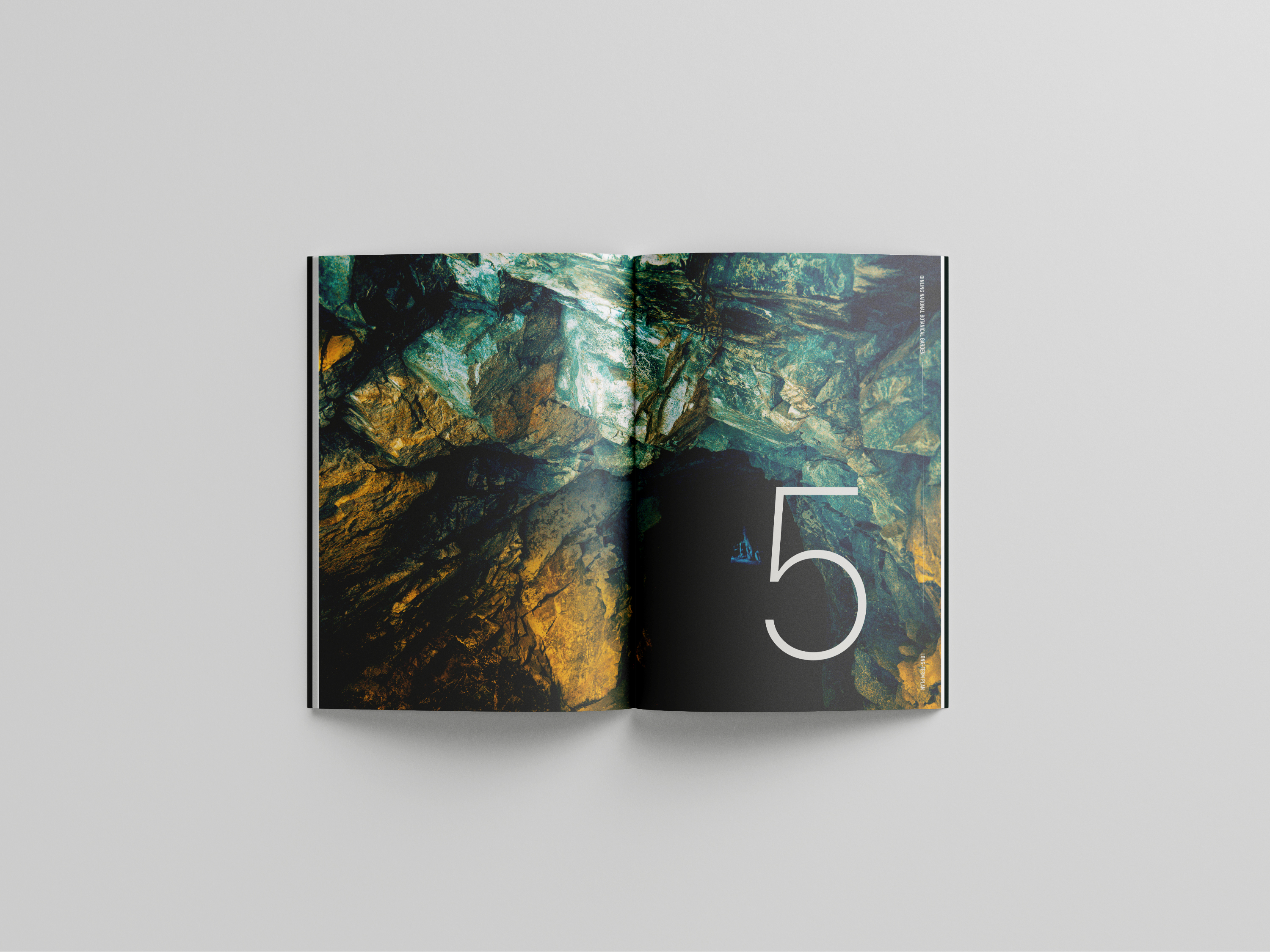 秦岭国家植物园摄影及宣传册设计丨美格锐西安办公室-14