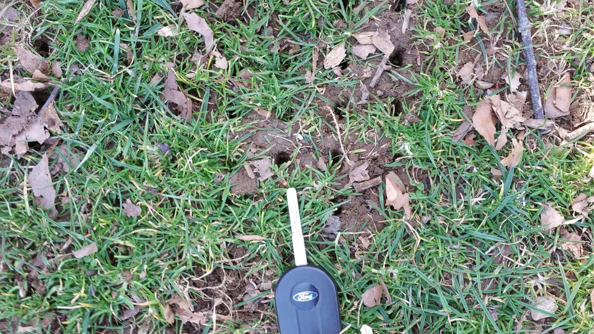 丨美国宾夕法尼亚丨Chanticleer staff and consultants-16