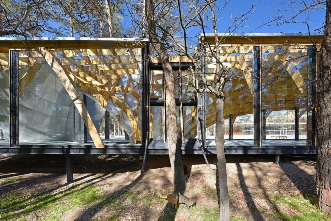 波斯波利斯入口亭丨伊朗-28