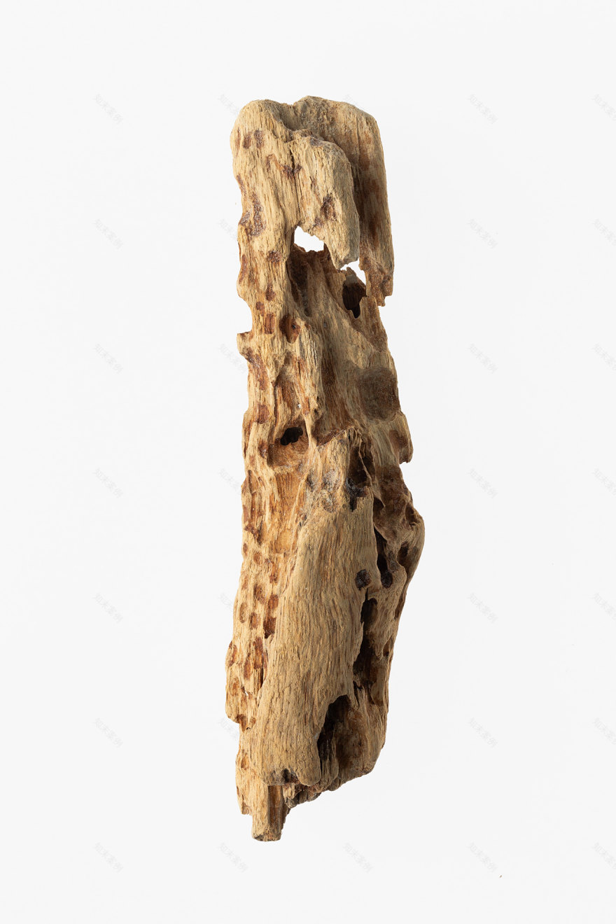 TorriPhoto摄影创作项目-27