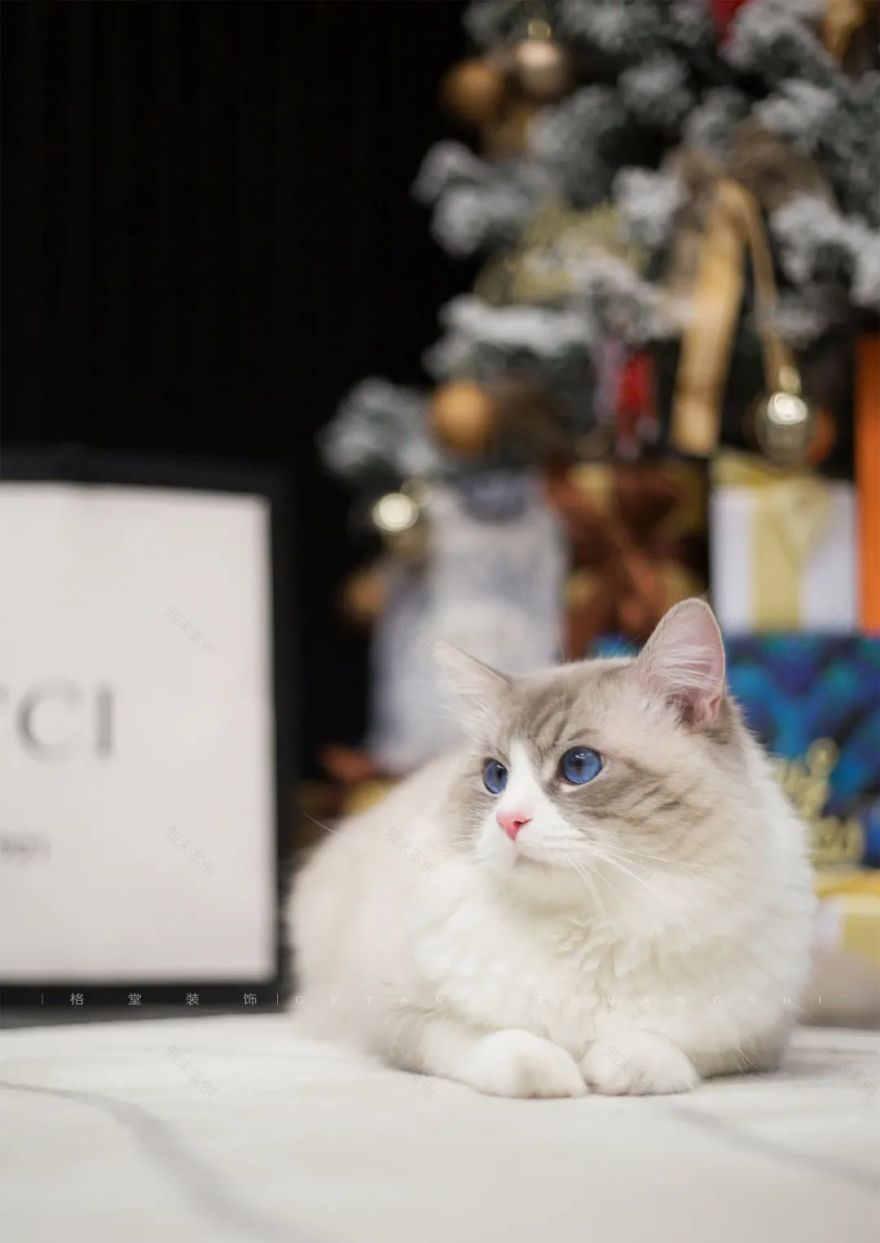 摩登视界 · 现代风格独栋别墅设计丨韩婷婷-1