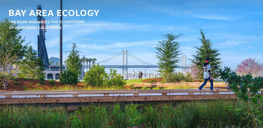 旧金山中国盆地公园丨美国丨SCAPE-23