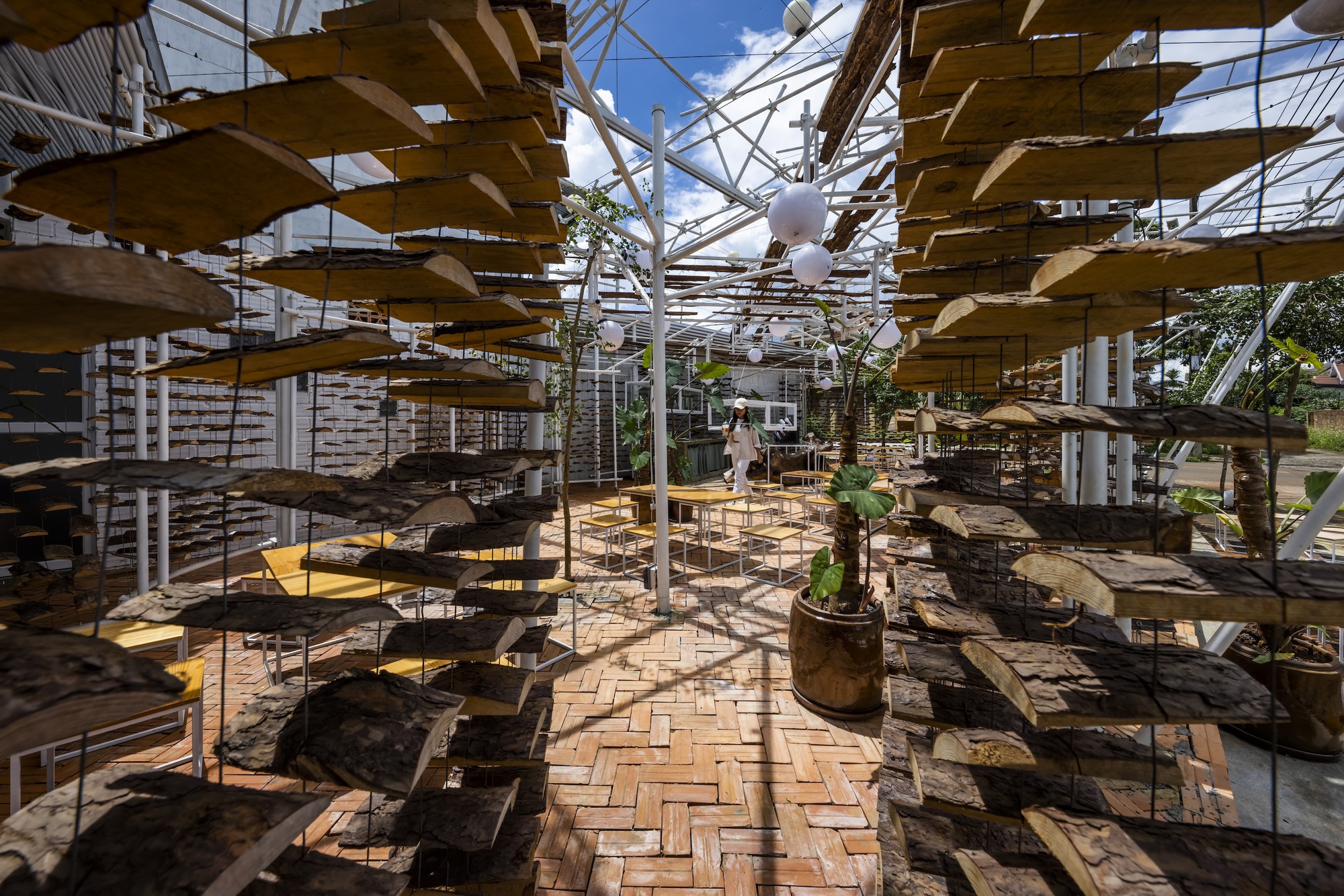 采茶，开花丨越南-37