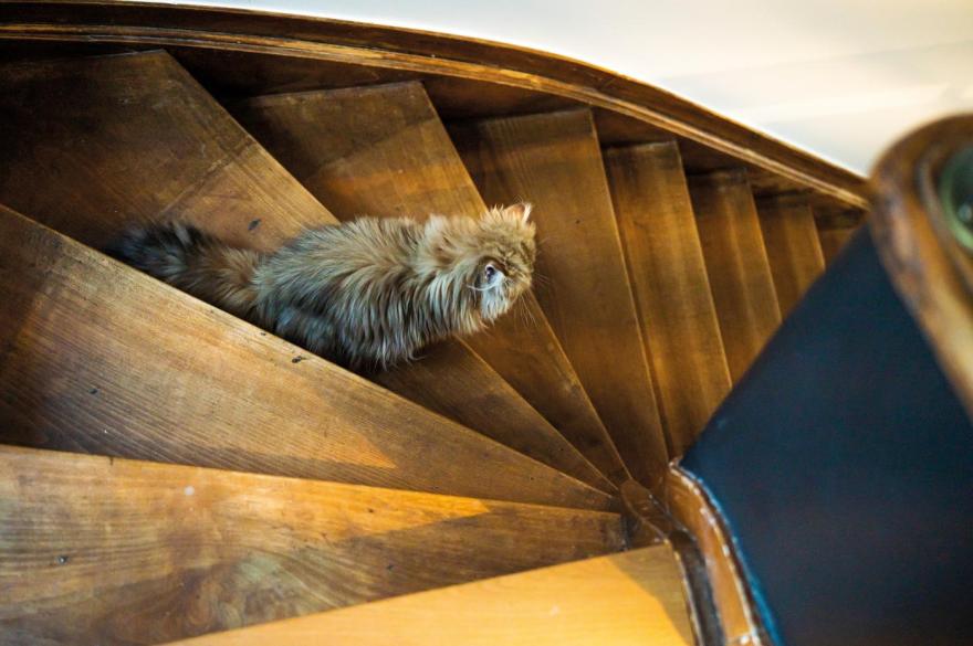 Antwerpen的Stephanie家特色住宅丨比利时安特卫普-11