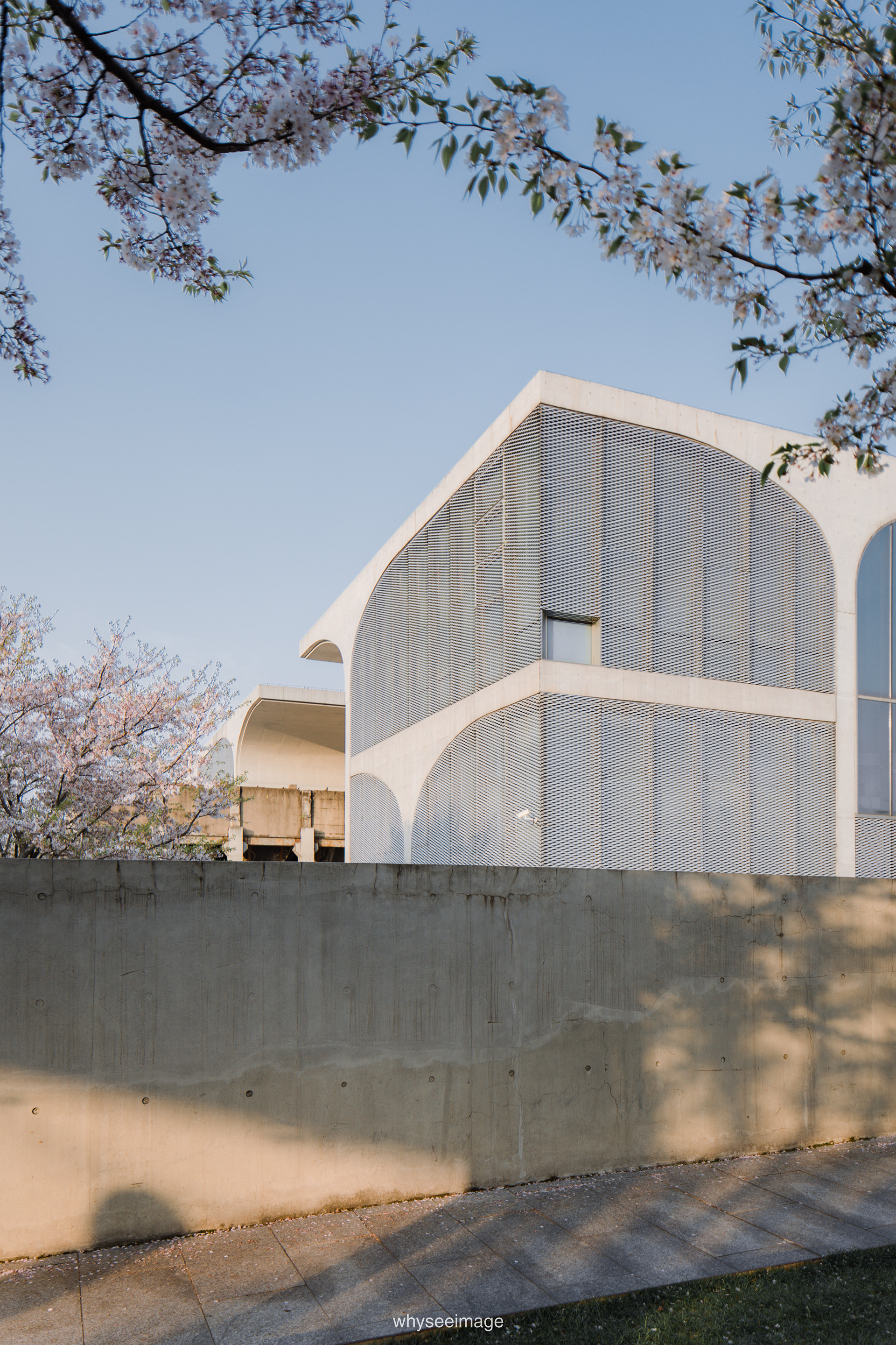 樱花+龙美术馆丨中国上海丨大舍建筑设计工作室-100