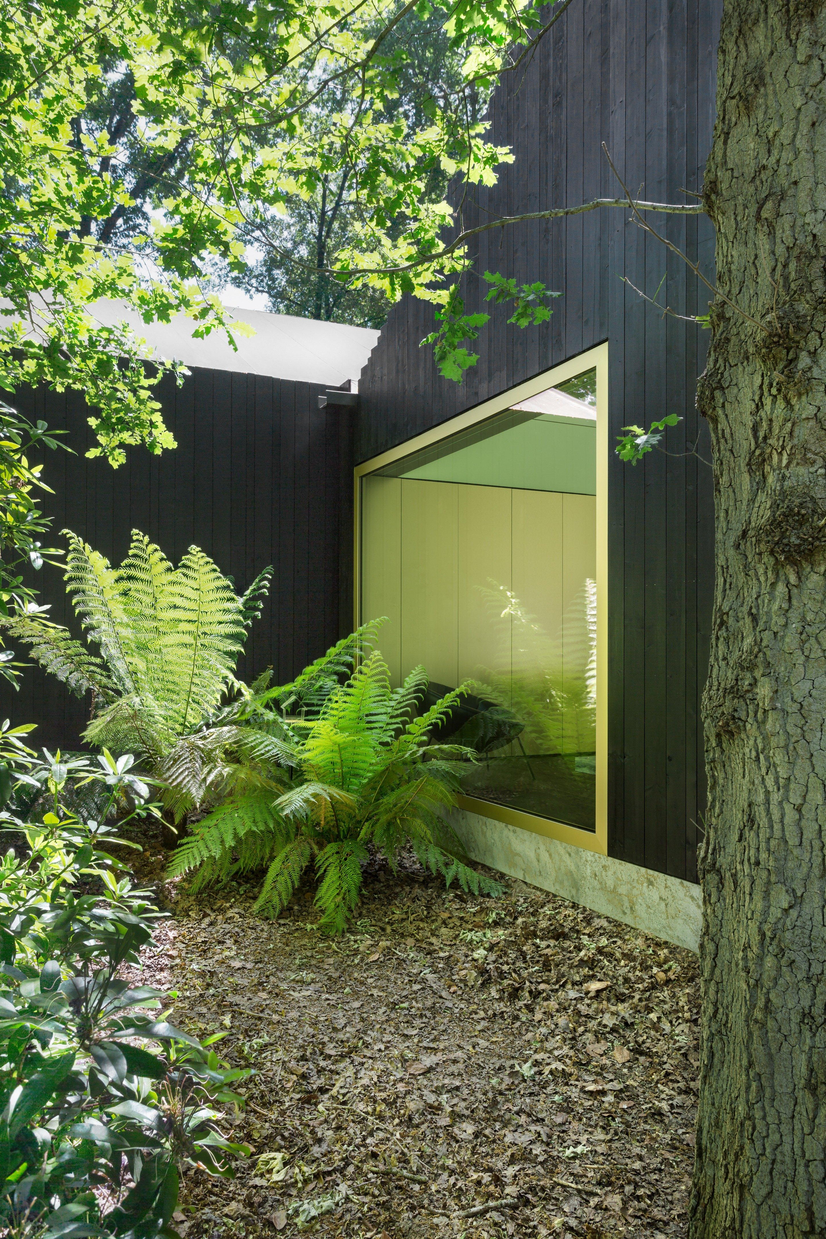 住在树林里丨比利时丨BASIL architecture-15