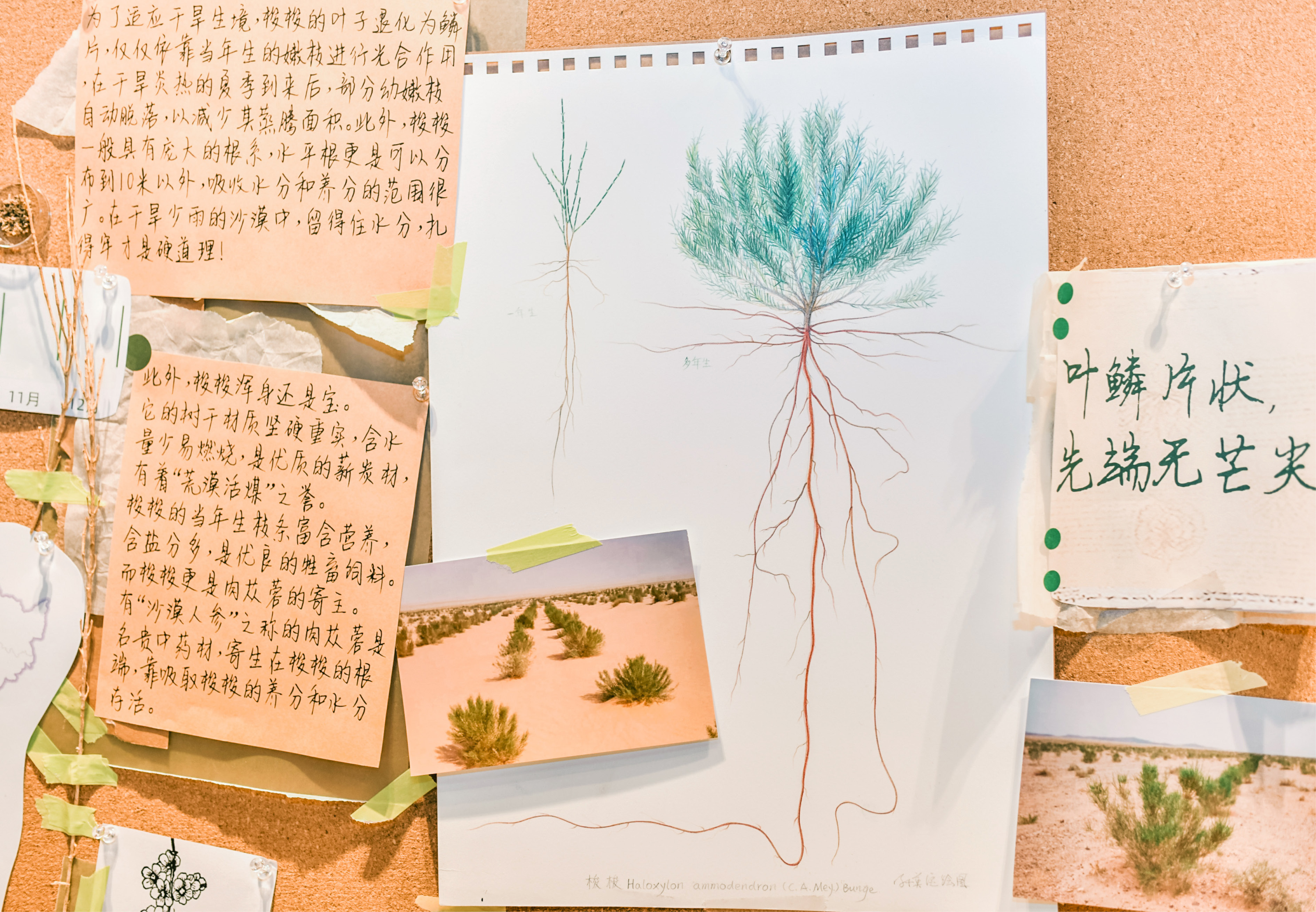 杭州天目里绿色嘉年华「森林里」丨中国杭州丨蚂蚁森林,杭州天目里,不是美术馆-42