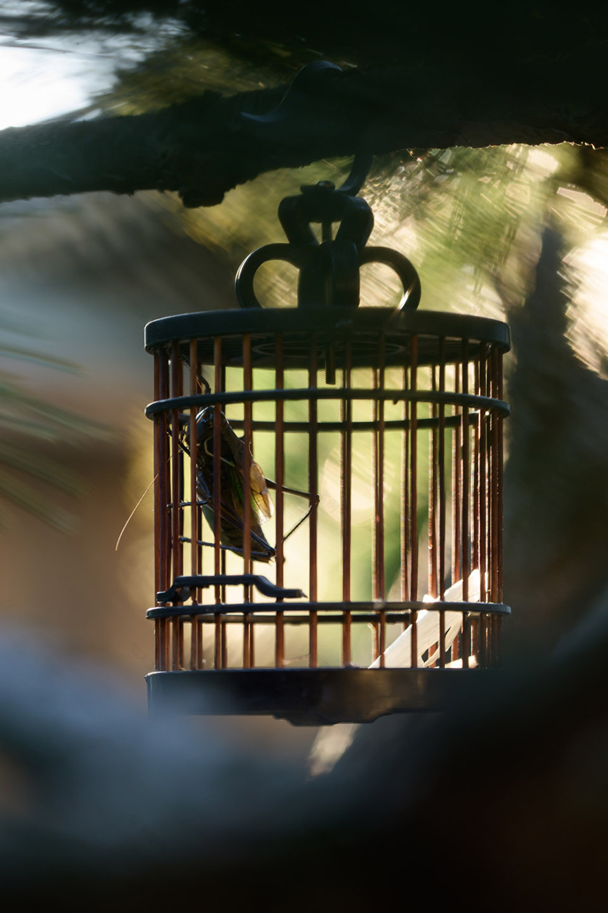 春山望 · 山系火锅丨中国大同丨空山集(重庆)室内设计-53