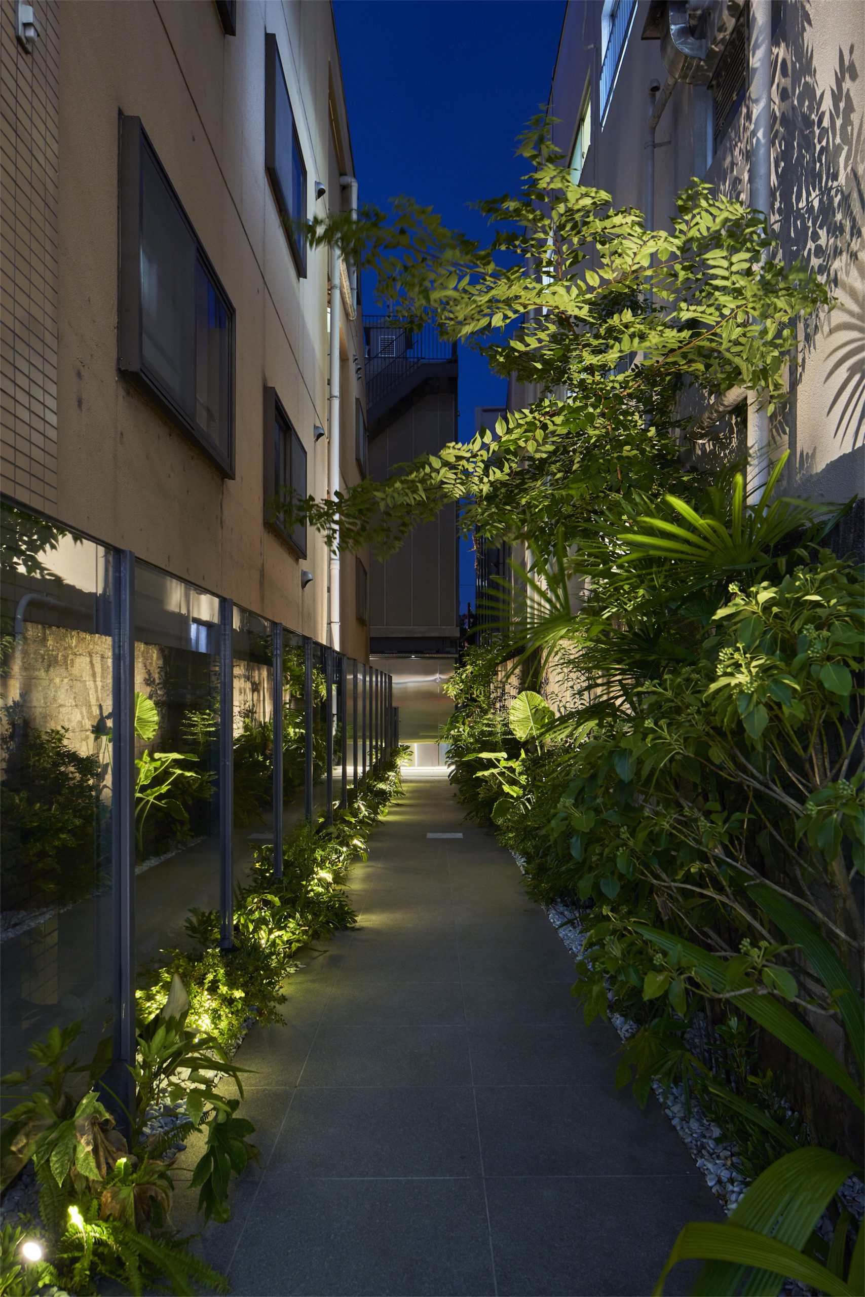 O·建筑丨日本东京丨Yohei Kawashima architects inc.-28