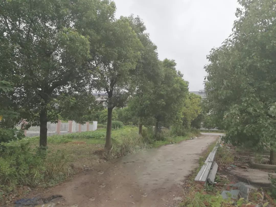 宜兴海伦堡·海伦湾 | 现代新中式园林的清雅之境-58