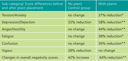 办公空间的自然化设计 | 提升生产力的关键-20
