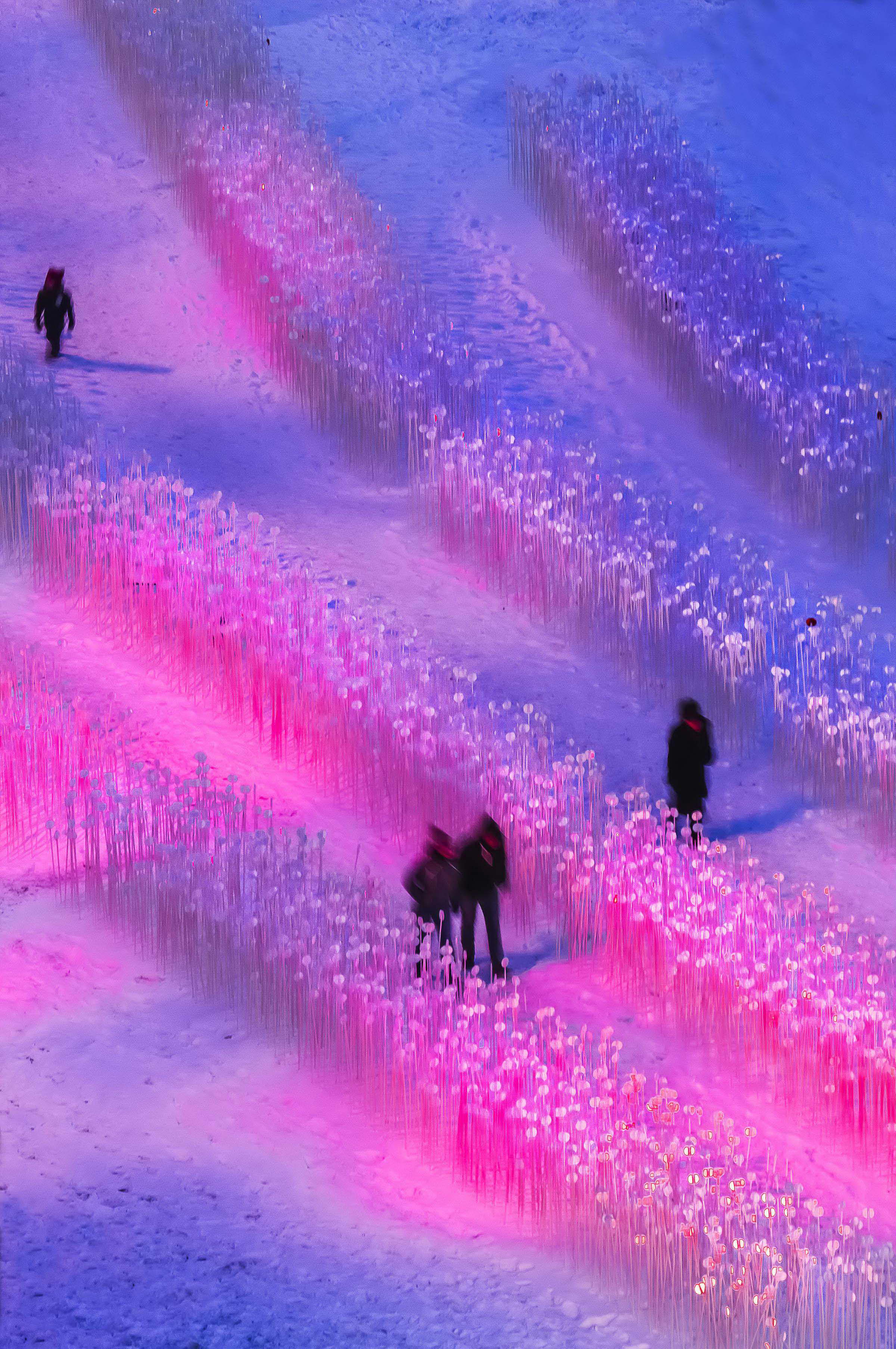 冬季麦田幻境 | Entre les Rangs 公共艺术装置-19