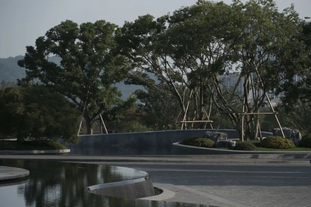 宁海雅境，初见桃源 | 宁海喜来登酒店-32