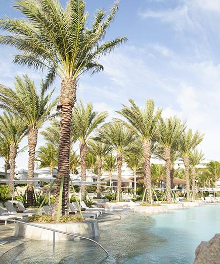 丨沙特阿拉伯巴哈丨DTJ Design-28