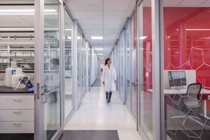 Johnson & Johnson 创新办公室-12