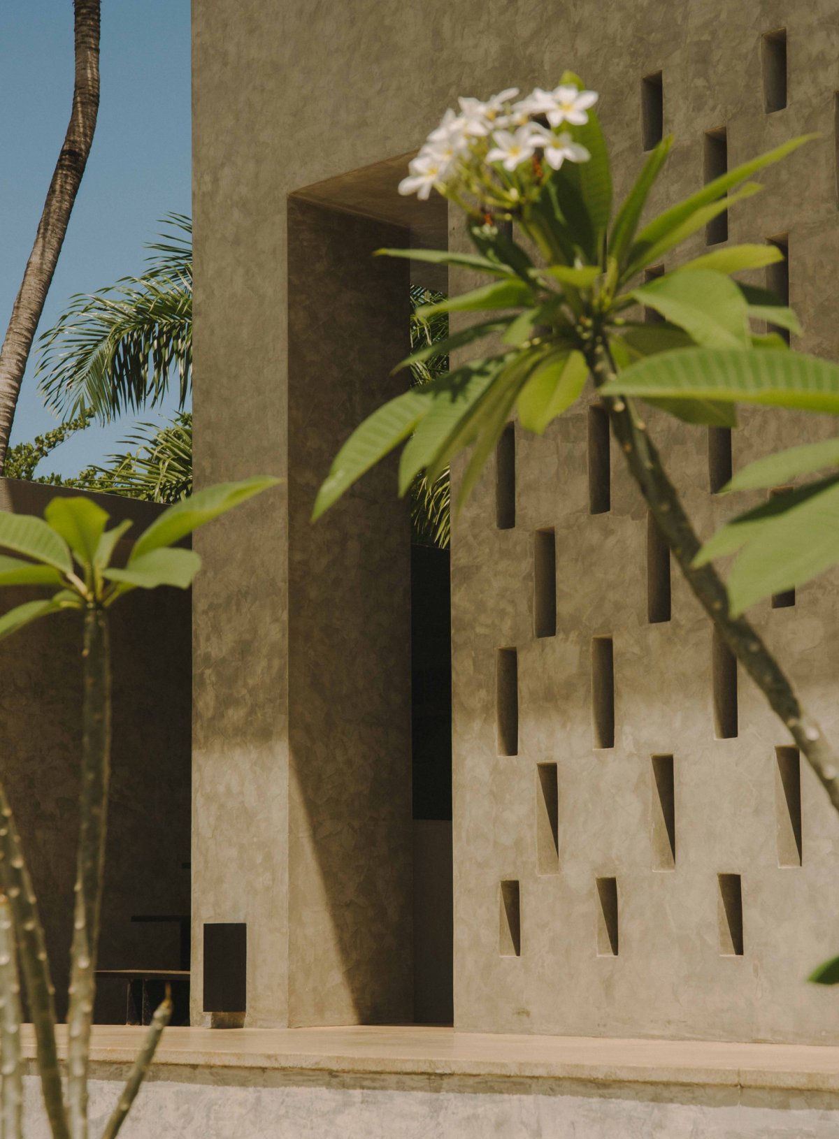 Rosabaya 住宅丨Arkina-9