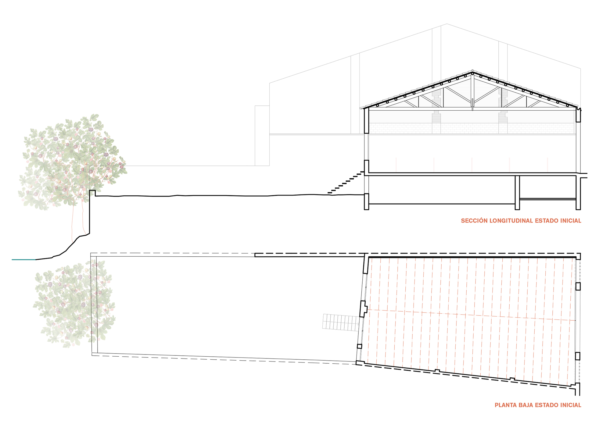 车库到房屋丨西班牙丨Judit Falgueras Arquitectura-22