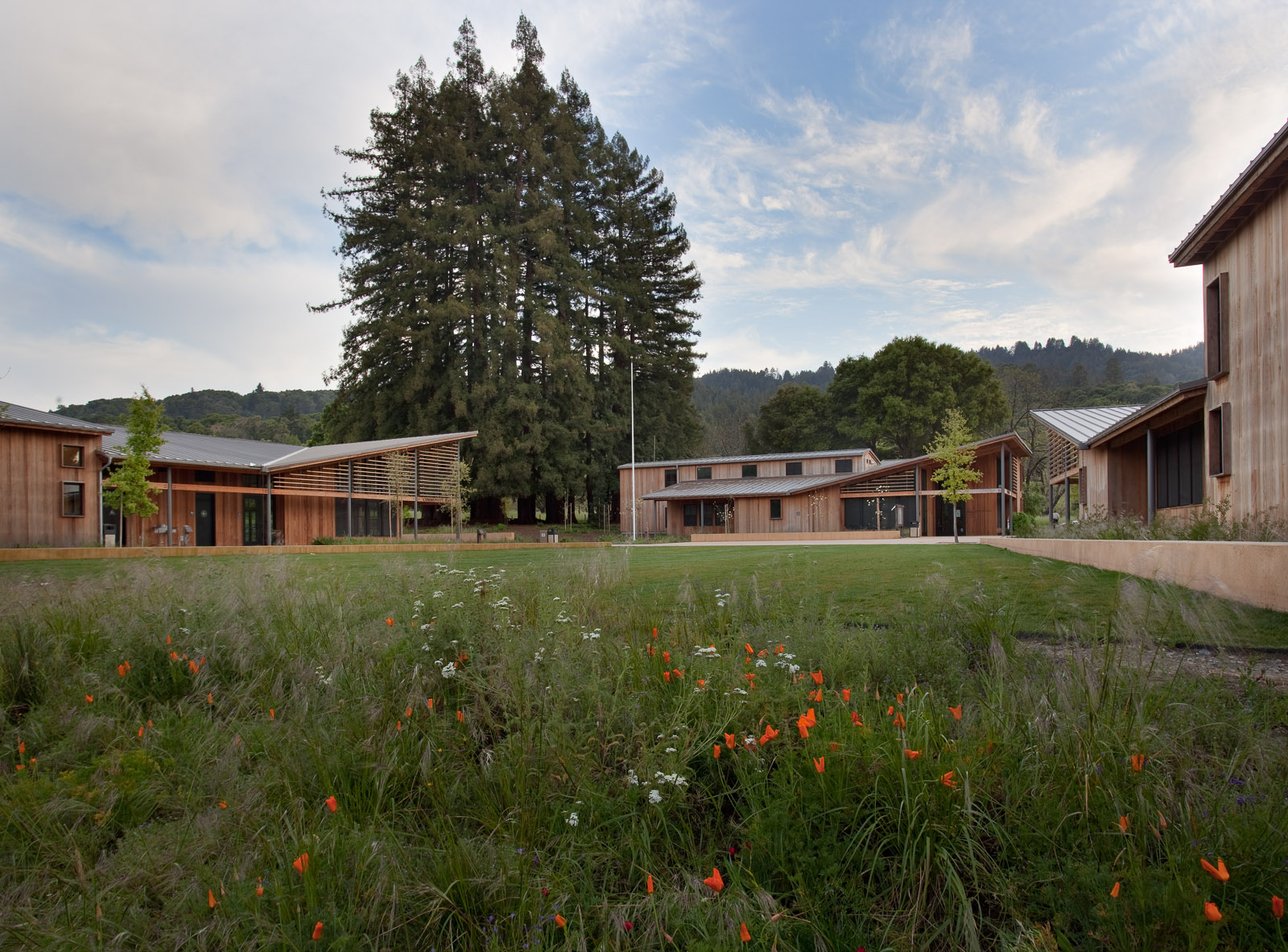 博特莱野奢小镇中心景观 portola town center by Lutsko Associates Landscape-3