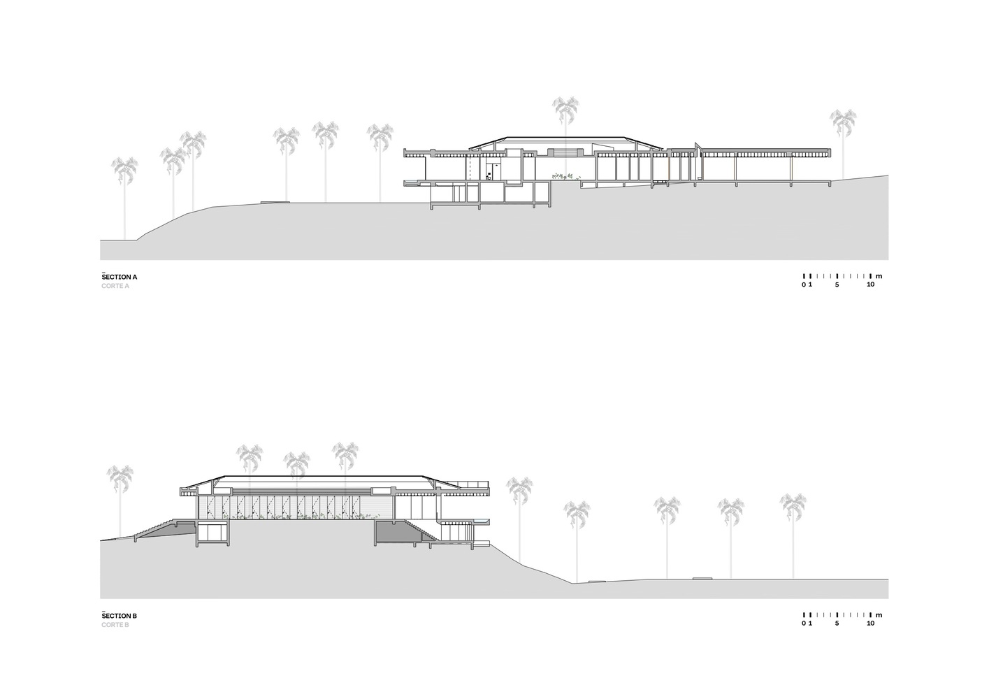 巴西丛林中的 01 TVN House-13