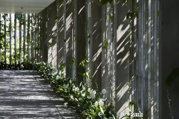 去了越南,这家绿植酒店一定不能错过-21