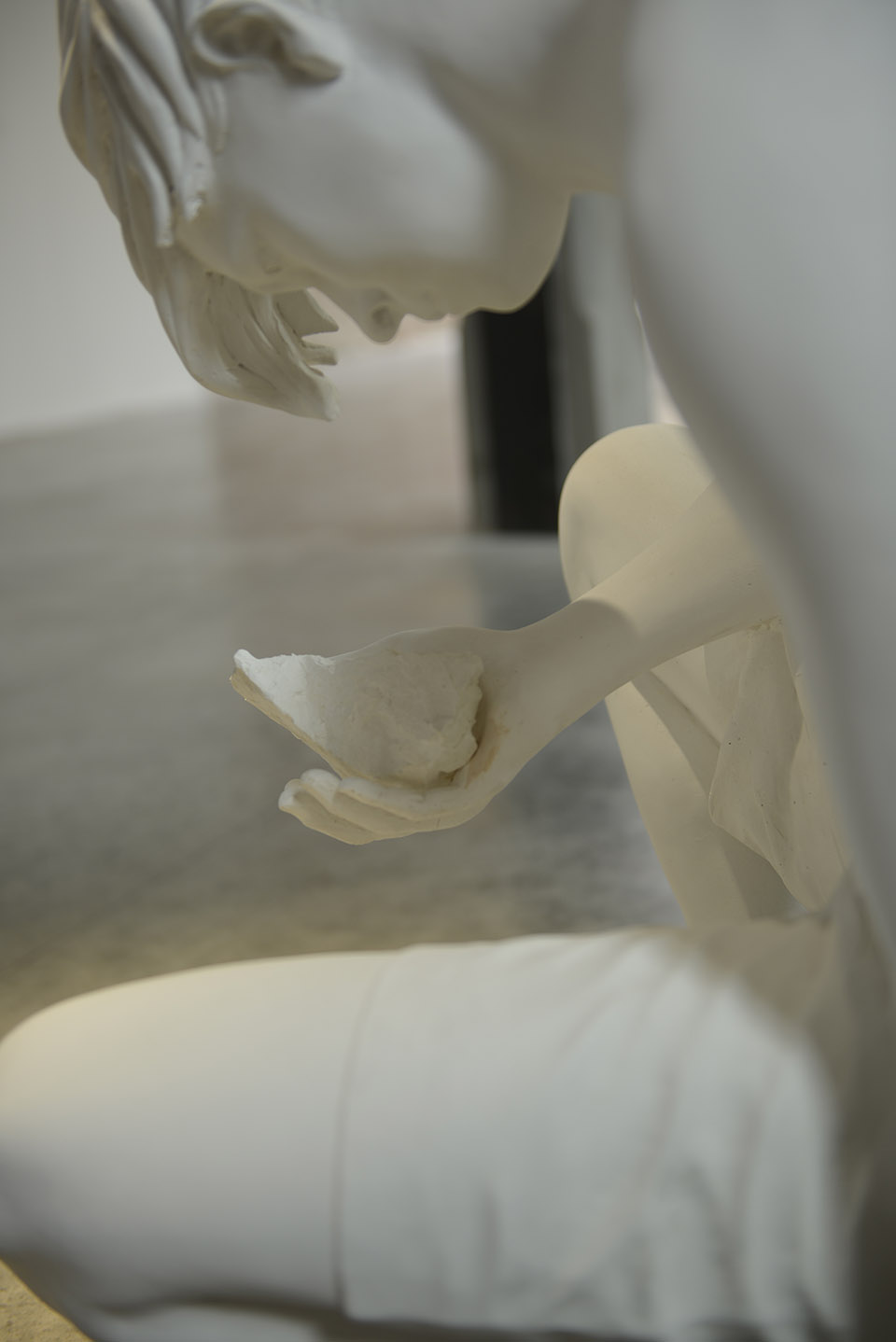 问题之马 / Claudia Fontes-33