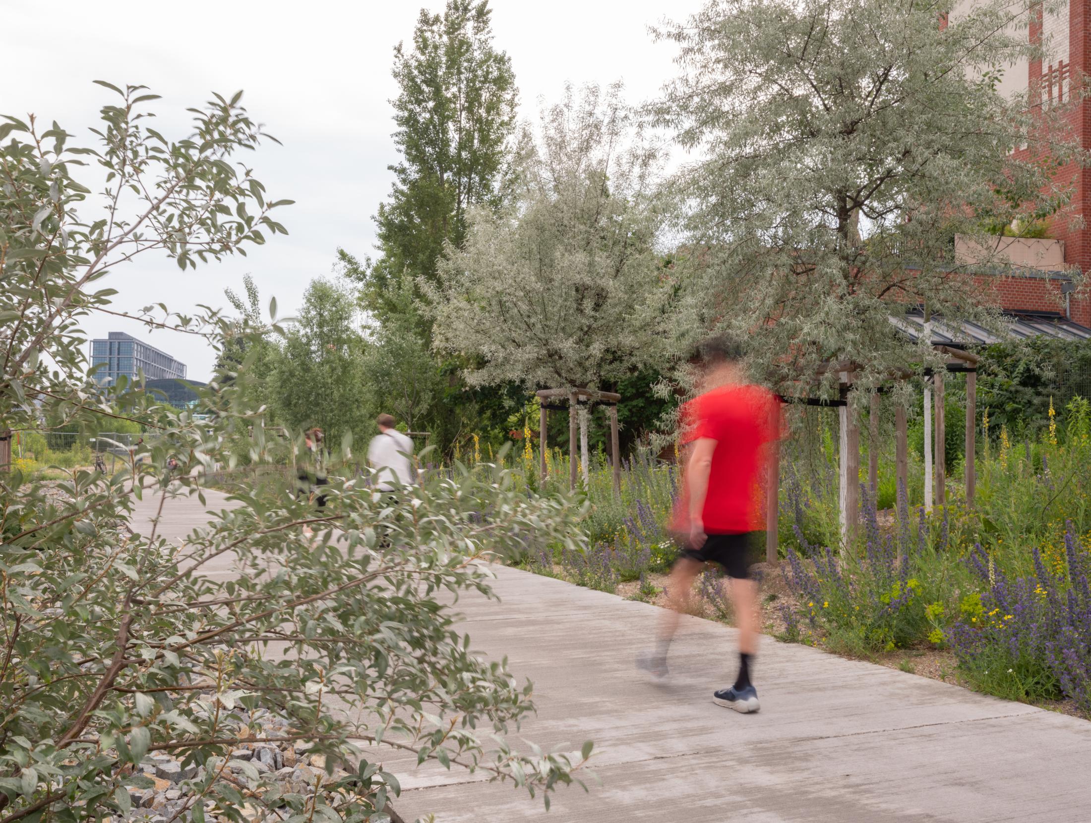 德伯里茨绿带丨德国柏林丨LOIDL-0