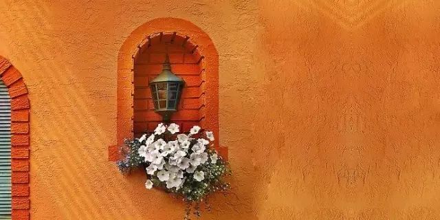 打造惊艳阳台,7 种花卉让空间焕发生机-8