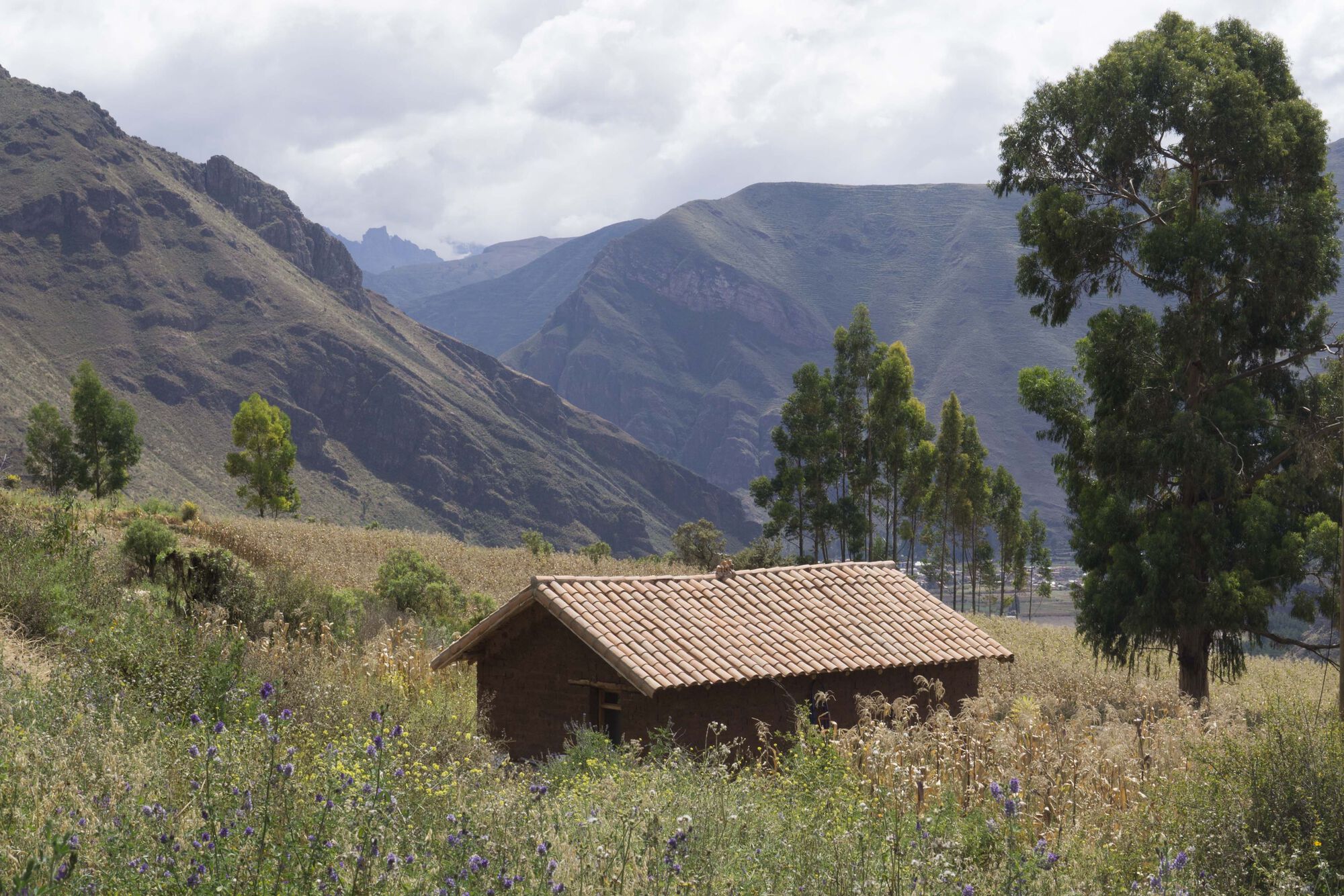 费利西亚纳小屋丨秘鲁丨Taller MACAA-9