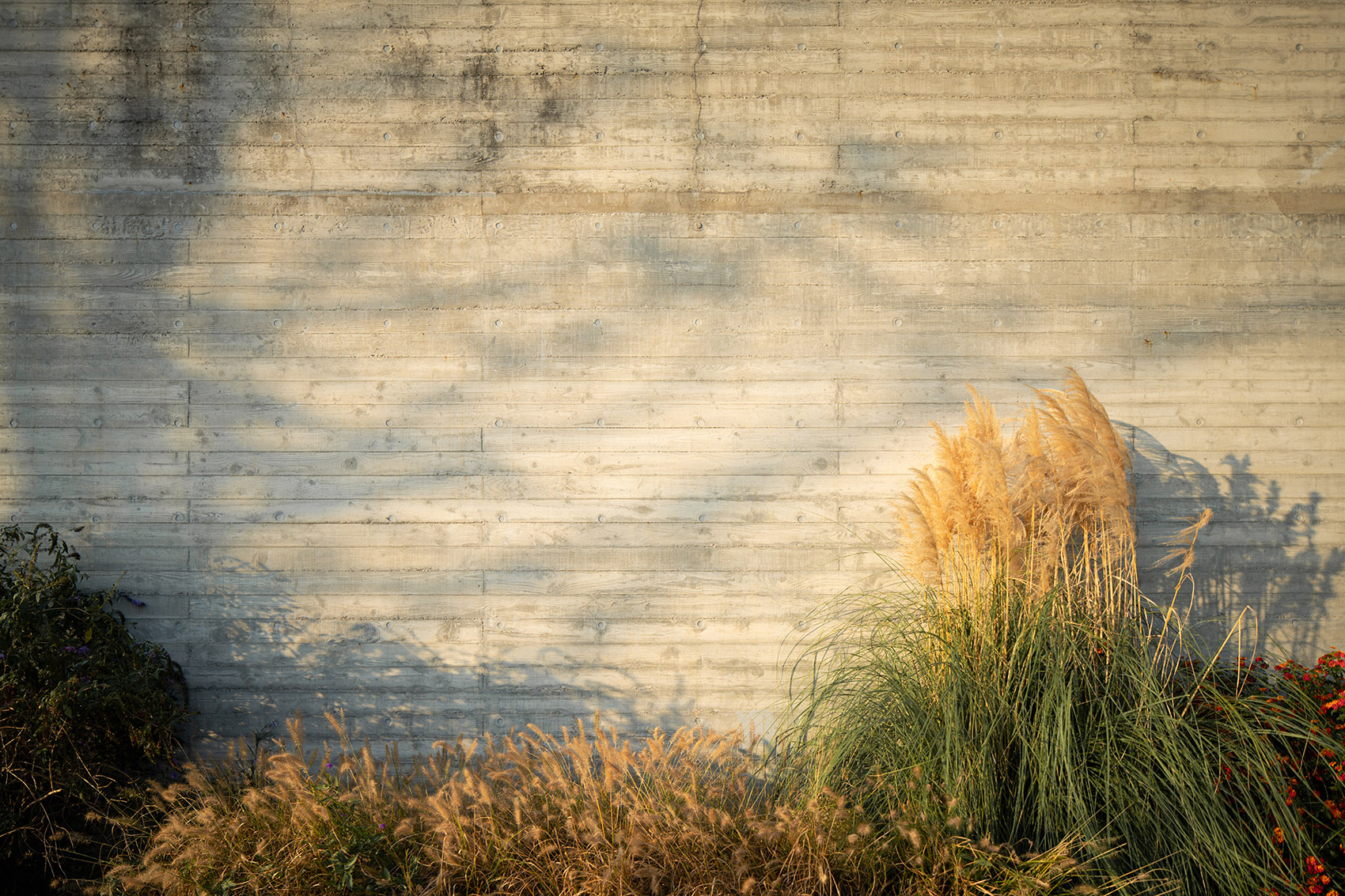 银杏画廊丨中国嘉兴丨MORE Architecture-87