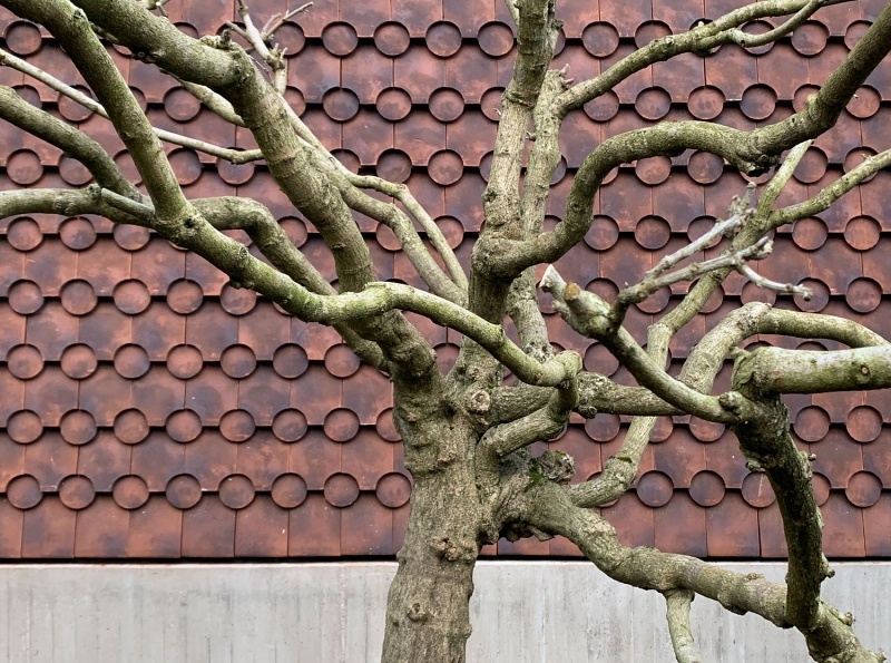 丨英国伦敦丨6a architects-12