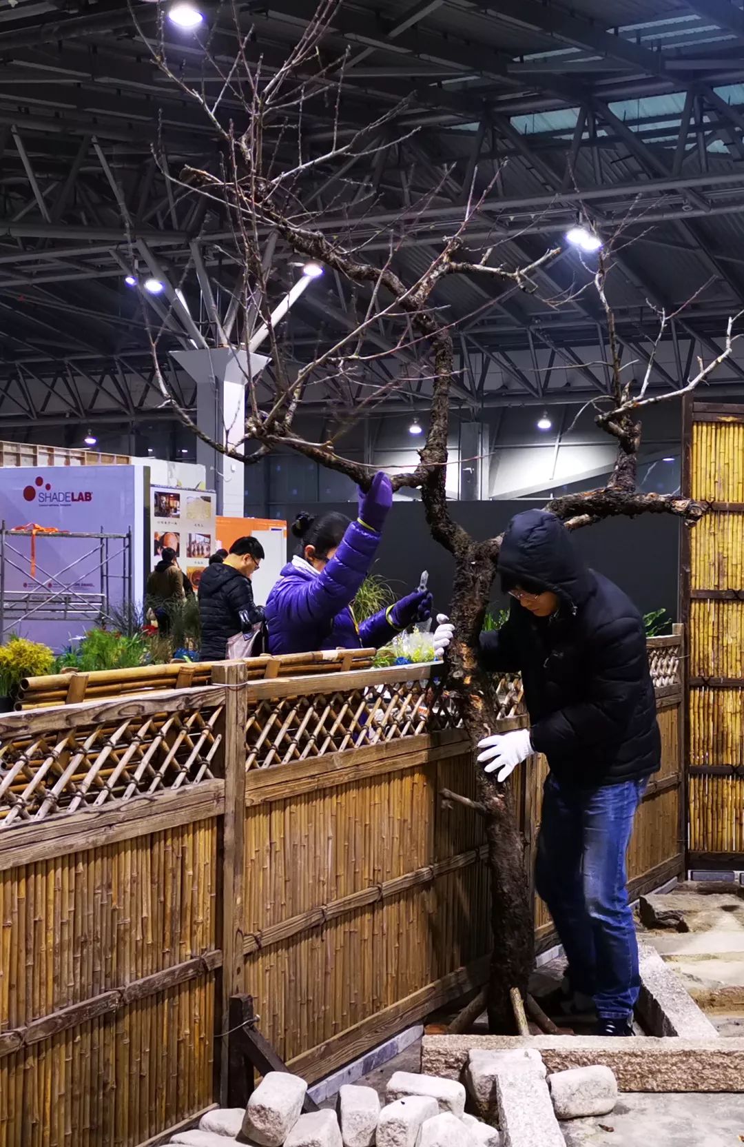 草月流世博馆庭院搭建记 | 全情投入展新貌-18